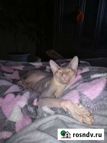 Вязка Мончегорск - изображение 1