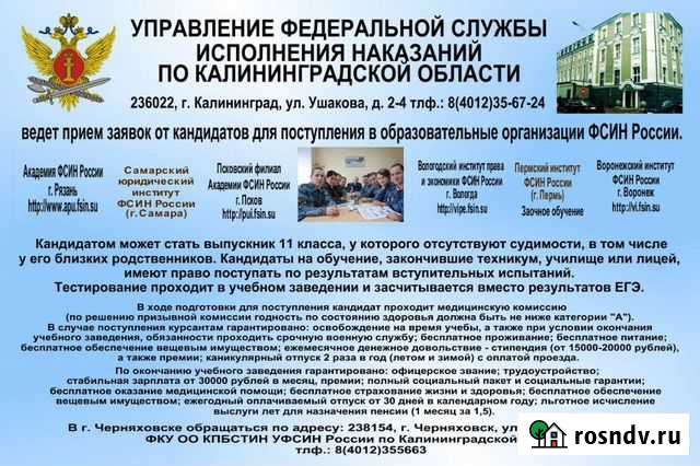 Обучение в вузах фсин России Черняховск - изображение 1