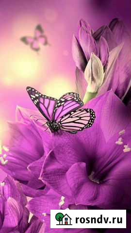 Уборка квартир и домов Калуга - изображение 1