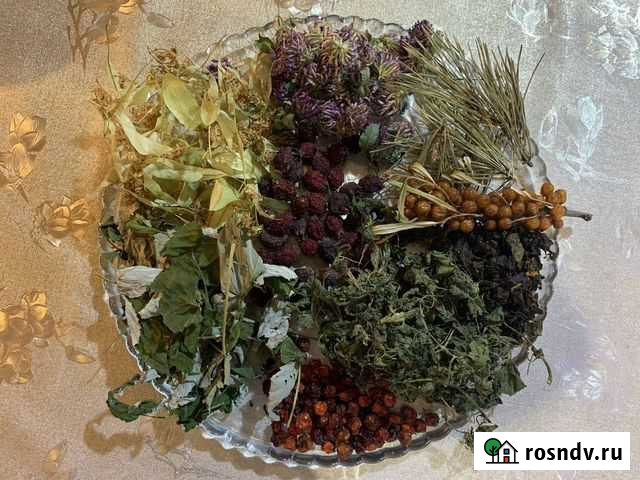 Собираю травяные сборы (легочный, антипаразитарный Казань - изображение 1