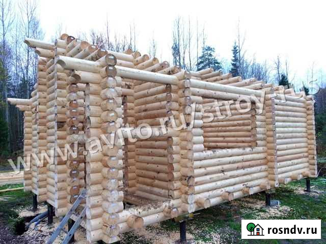 Сруб Бани Тосно - изображение 1