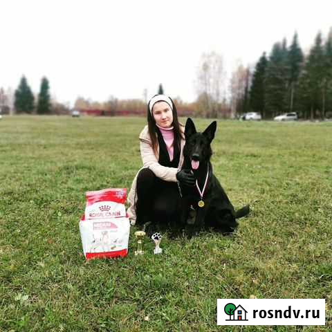 Хендлер Тверь - изображение 1