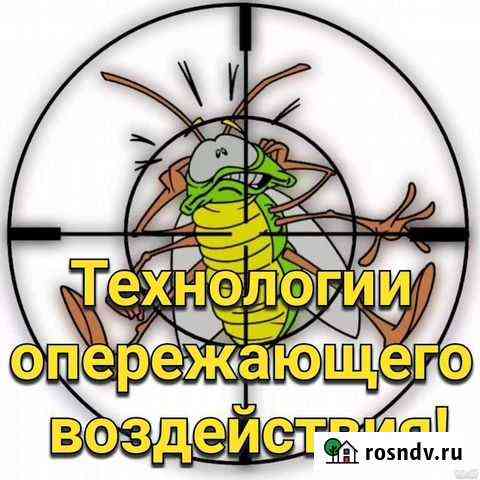 Уничтожение тараканов, клопов в Хабаровске сегодня Хабаровск