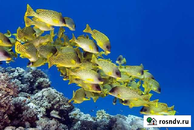 Натяжной потолок Сочи - изображение 1