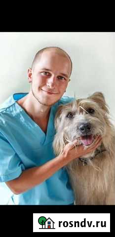 Ветеринарный врач на дом Клин - изображение 1