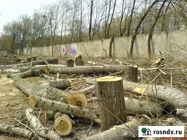 Спил деревьев расчистка участков Благовещенск - изображение 1
