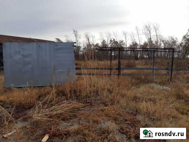 Печень для поршковой покраски Белозерское - изображение 1