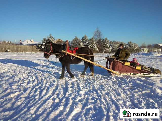 Познавательная деревня Тверь - изображение 1