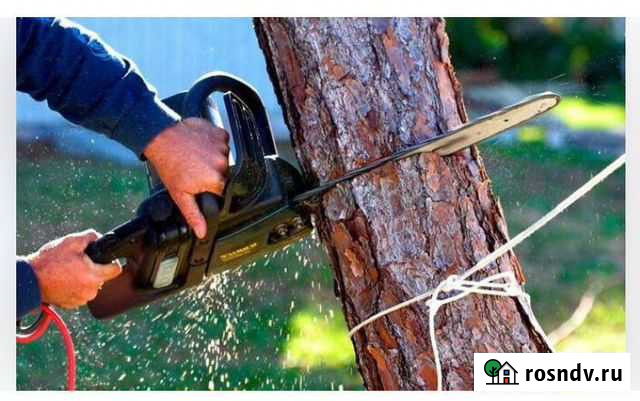 Спил деревьев, покос травы + уборка.Беслан Беслан - изображение 1