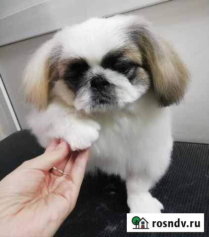 Вязка Энгельс - изображение 1