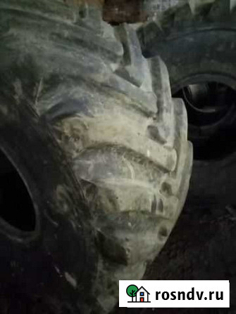 Wolftyres 75 R25 Родники - изображение 1