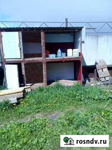 Аренда вольера Сургут - изображение 1