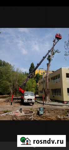 Спил деревьев вышка вывоз Бирюч - изображение 1