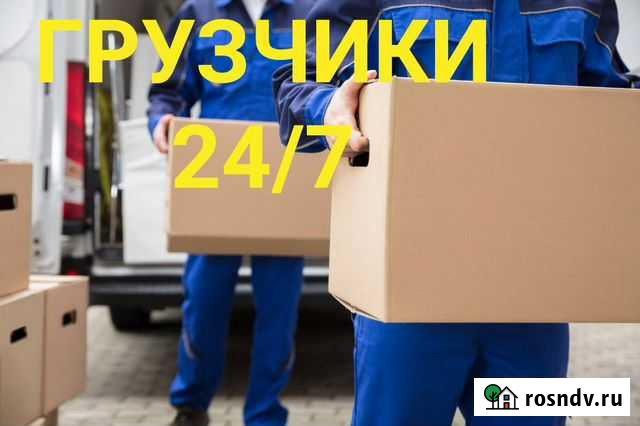 Грузчики,переезды,разнорабочие,вывоз мусора Пенза - изображение 1