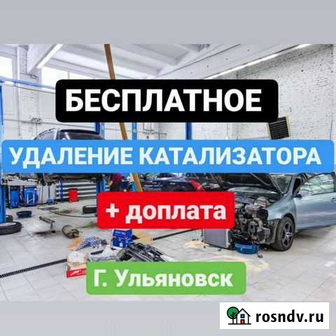 Удаление катализатора/чип-тюнинг Ульяновск - изображение 1