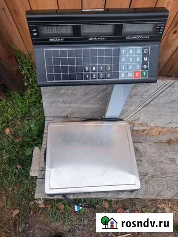 Весы Ачинск - изображение 1