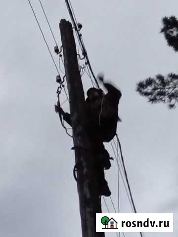 Монтаж сип, Работы на когтях, Красноярск край Березовка - изображение 1