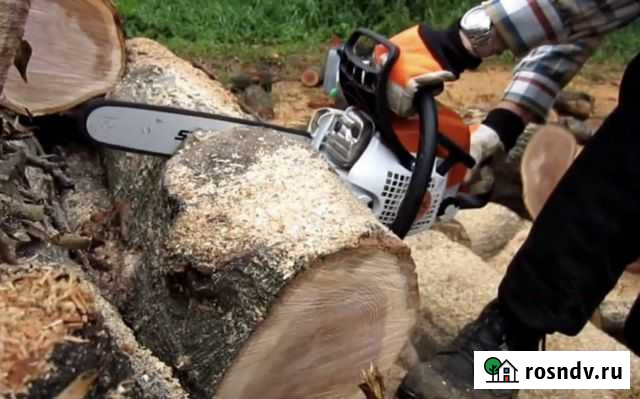 Спил деревьев Агалатово - изображение 1