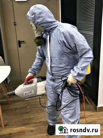 Дeзинфекция. Защита от вирусов,нaсекомых,грызунов Кимры - изображение 1