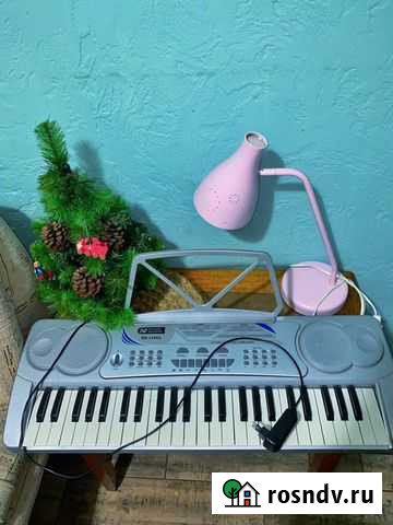 Синтезатор Калининград - изображение 1