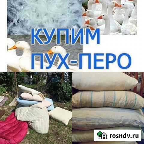 Скупка пуха перины и подушек Козьмодемьянск - изображение 1
