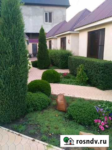 Ландшафт дизайн, озеленение, садовник, рулон.газон Махачкала - изображение 1