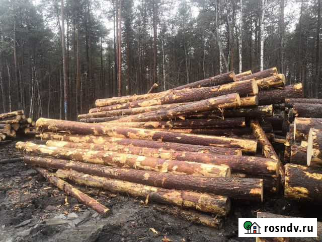 Хвойный пиловчник 2-3 сорт Вяртсиля - изображение 1