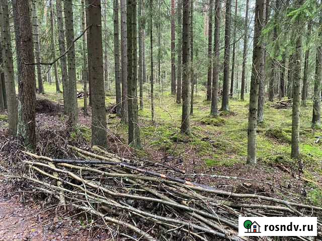 Покос травы,кустов с уборкой Приладожский - изображение 1