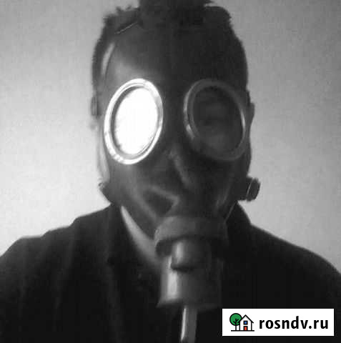 Привезу С Питера, Подарки на новый-год Приозерск - изображение 1