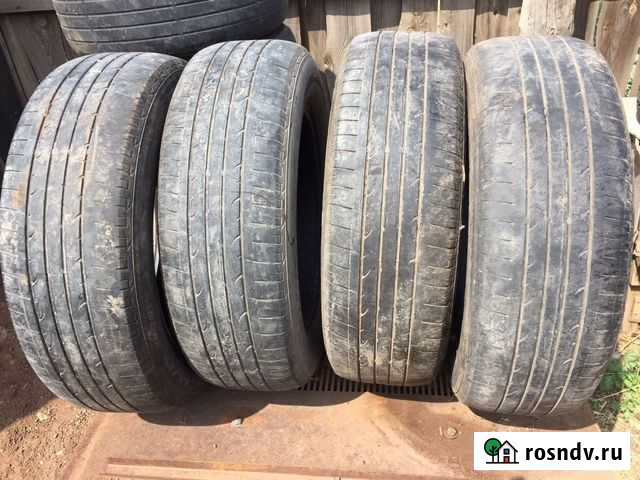 Шины Нежинка - изображение 1