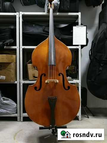 Контрабас Санкт-Петербург - изображение 1