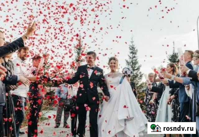 Тамада,Dj. На юбилей,корпоратив,свадьбу.Декор.Пода Тольятти - изображение 1