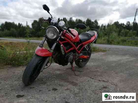 Suzuki bandit Ачинск