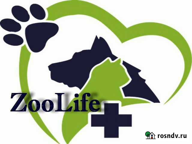 Ветеринар Ярославль - изображение 1