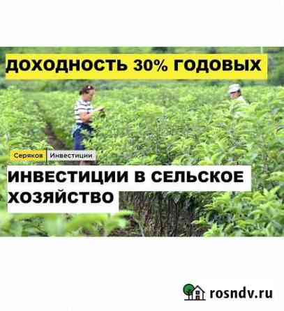 Инвестиции в действующий бизнес. 30 годовых.Залог Ростов-на-Дону