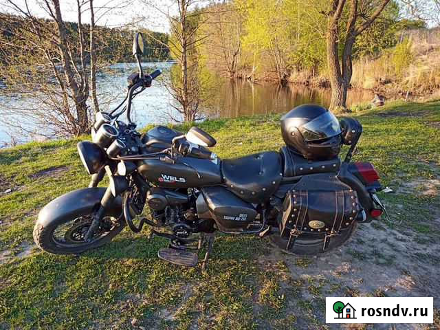 Велс трофейный250-2014 Владимир - изображение 1