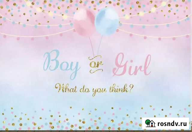 Баннер мальчик или девочка Брянск - изображение 1