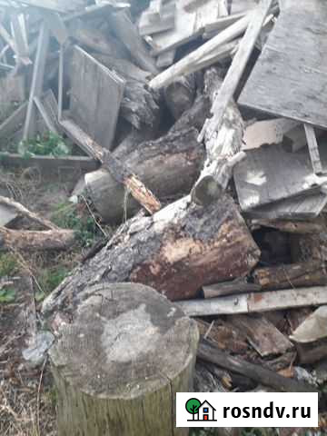 Дрова бесплатно самовывоз Россошь - изображение 1