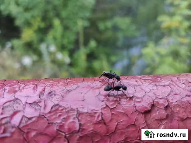 Промокоды Скидки Мвидео бесплатно Челябинск - изображение 1