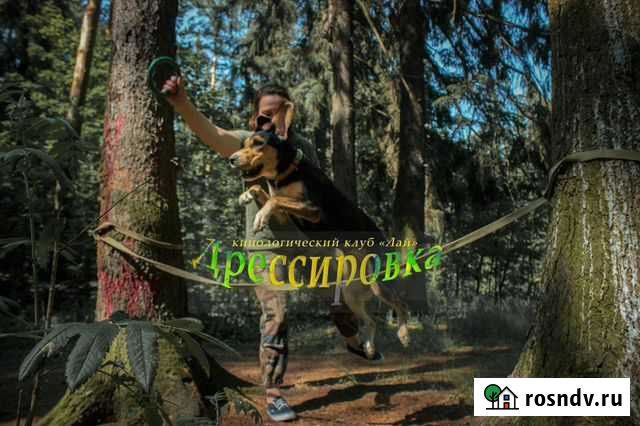 Кинолог, ветеринарный врач Королев - изображение 1