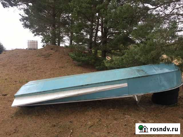 Казанка с крыльями в идеальном состоянии Псков - изображение 1