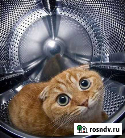 Ремонт стиральных и посудомоечных машин на дому Арзамас - изображение 1