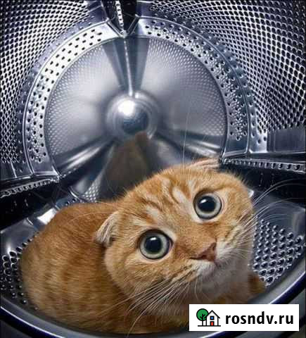 Ремонт стиральных и посудомоечных машин на дому Арзамас - изображение 1