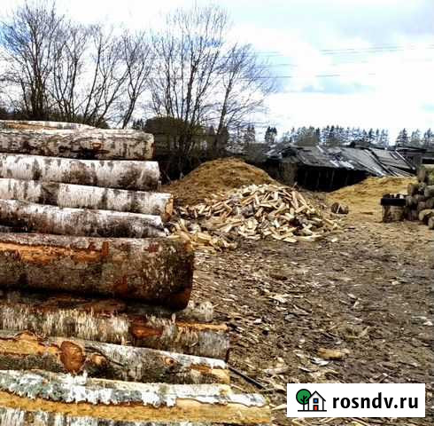Доставка дров. Берёза. цена за 5 куб с доставкой Кипень - изображение 1