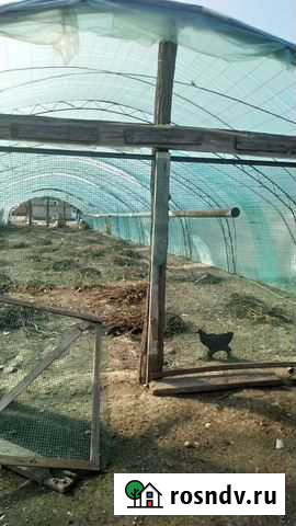 Теплица Алтуд - изображение 1