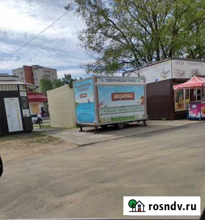 Продам или сдам в аренду Сосновый Бор - изображение 1