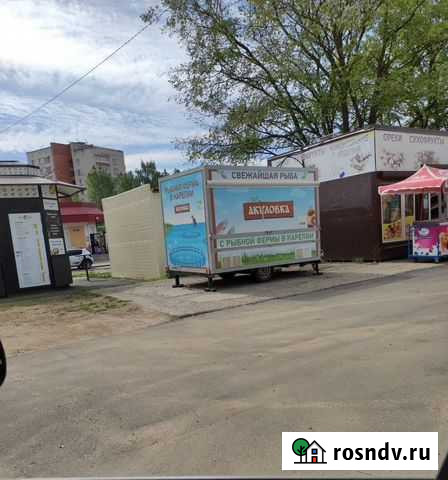 Продам или сдам в аренду Сосновый Бор - изображение 1