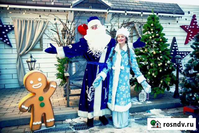Лучшие Дед Мороз и Снегурочка Ярославль - изображение 1
