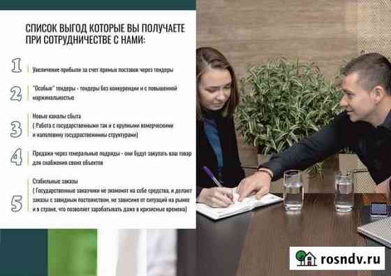 Тендерное сопровождение Воронеж