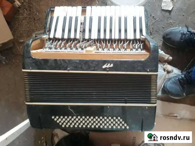 Аккордеон Воронеж - изображение 1